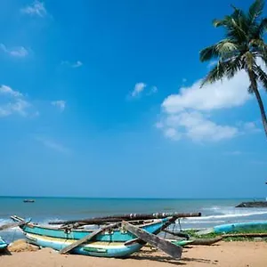 https://aloe-vera-negombo.negombohotels.net